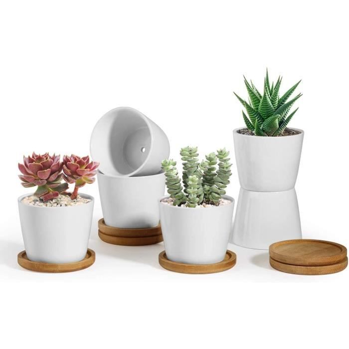 Lot De 6 Pots De Succulentes En Céramique Blanche + Plateaux En Bambou - 8x7,6x5,8 Cm, Avec Trou De Drainage