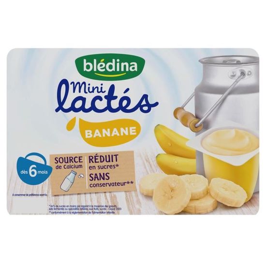 Bledina Mini Lactes Desserts Pour Bebe Des 6 Mois Banane 6x55g Achat Vente Dessert Lacte Bledina Mini Lactes Desserts Pour Bebe Des 6 Mois Banane 6x55g Cdiscount