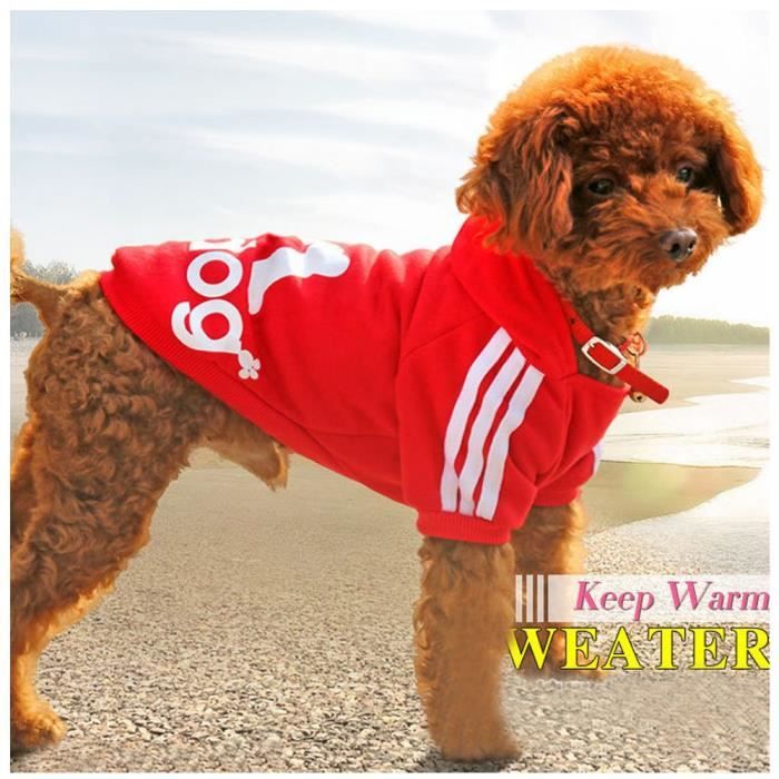 Adidog rouge discount