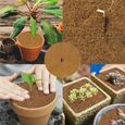10pcs Tapis de Noix de Coco Disque paillis Pot Tapis de Protection des Plantes pour Le Jardin de l'hôtel à la Maison (40 cm)-3