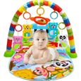 Tapis de jeu évolutif multifonction musical pour bébé avec arches de jouets et piano à pédales-0