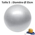 Ballon de Yoga/Fitness Gris - SUN&SIA - Taille S - Pompe Fournie - Usages Multiples - Diamètre: 55cm-0