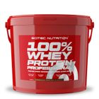 SCITEC NUTRITION 100% Whey Protein Professional (5Kg) Choco-Noisette