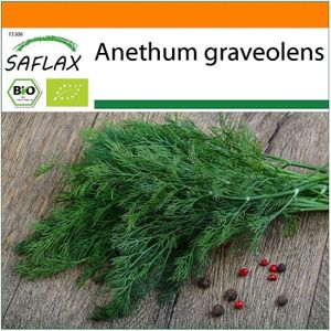 GRAINE - SEMENCE BIO - Aneth - 700 graines - Anethum graveolens A116