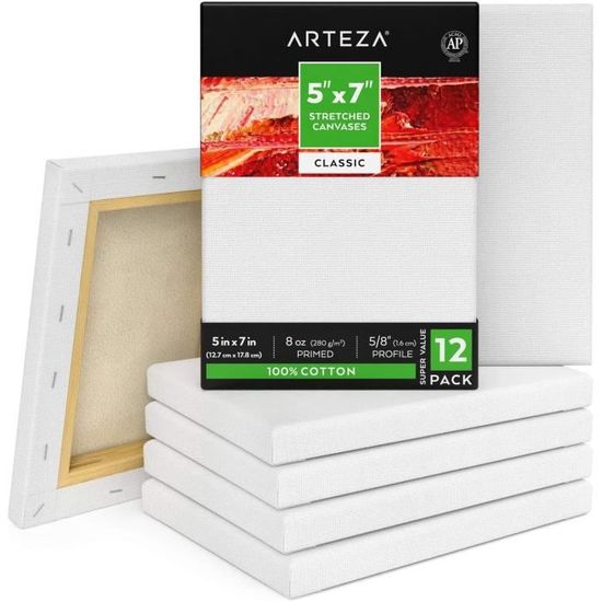 Lot De 10 Toiles Adhésives Sans Acide, Apprêtées Gesso - 3 Tailles, Repositonnables - Marque Lyons, Neuf