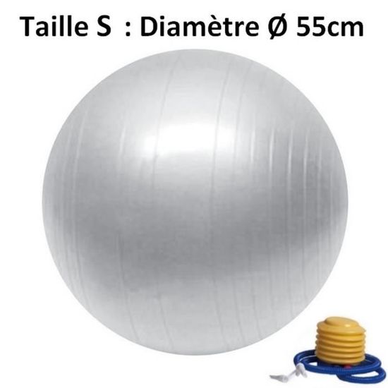 Ballon de Yoga/Fitness Gris - SUN&SIA - Taille S - Pompe Fournie - Usages Multiples - Diamètre: 55cm