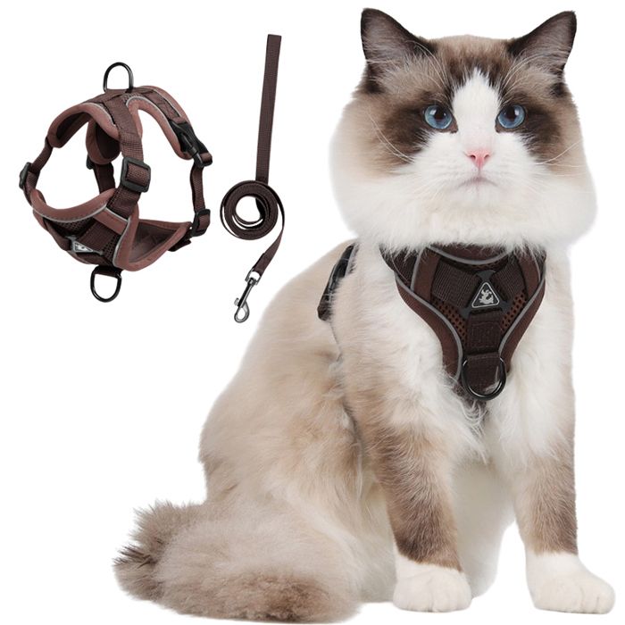 Meilleurs prix pour Harnais Chat Harnais pour chaton/petit chien Harnais Respirant et Bande Réfléchissante réglables-marron -Taille S