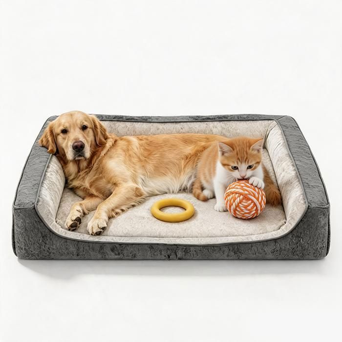 Panier Chien Chat XXL 115×90×24 cmMousse Mémoire de Forme DéhoussableImperméableAntidérapantBords Surélevés Canapé pour Chien