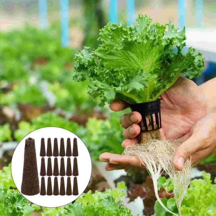 Éponges De Culture Hydroponique - 30 Pièces Pour Germination Et Croissance Des Racines - Compatible Systèmes Intérieurs