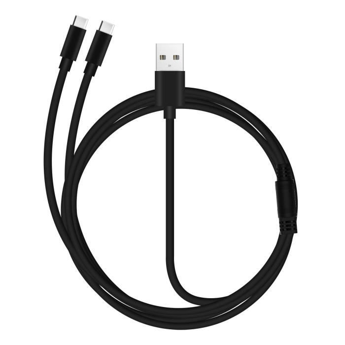 Câble USB vers 2x USB-C 2A Charge Rapide et Sécurisée Épais