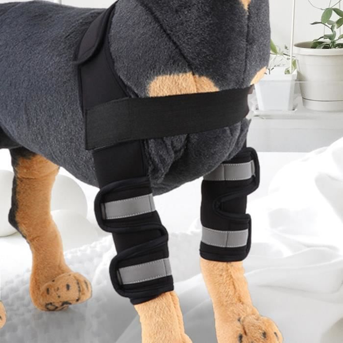 Comparer les prix de Attelles pour pattes avant de chien - Shipenophy - Taille L - Réfléchissantes - Confortables - SBR respirant