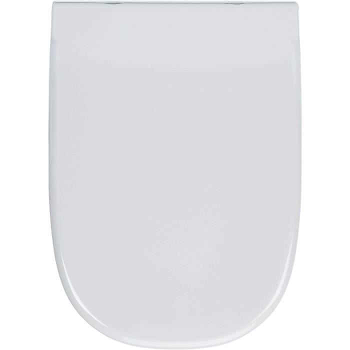 Roca A801327694 Dama Retro Abattant pour WC Gris124 - Cdiscount Bricolage