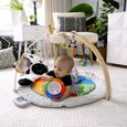 BABY EINSTEIN Zen's Activity Milestones tapis d'éveil avec barre en bois, jouets multisensoriels, dès la naissance-1