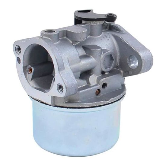Carburateur De Rechange Pour Briggs & Stratton - Compatible Réf. 80014862, 80020466 - Prêt à Installer - Qualité
