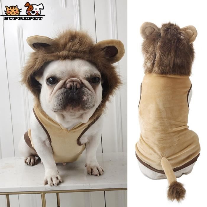 Animalerie vetements pour animaux de compagnie Costume pour chien bouledogue francais chien chat Lion dessin anime Type Lion L Cdiscount