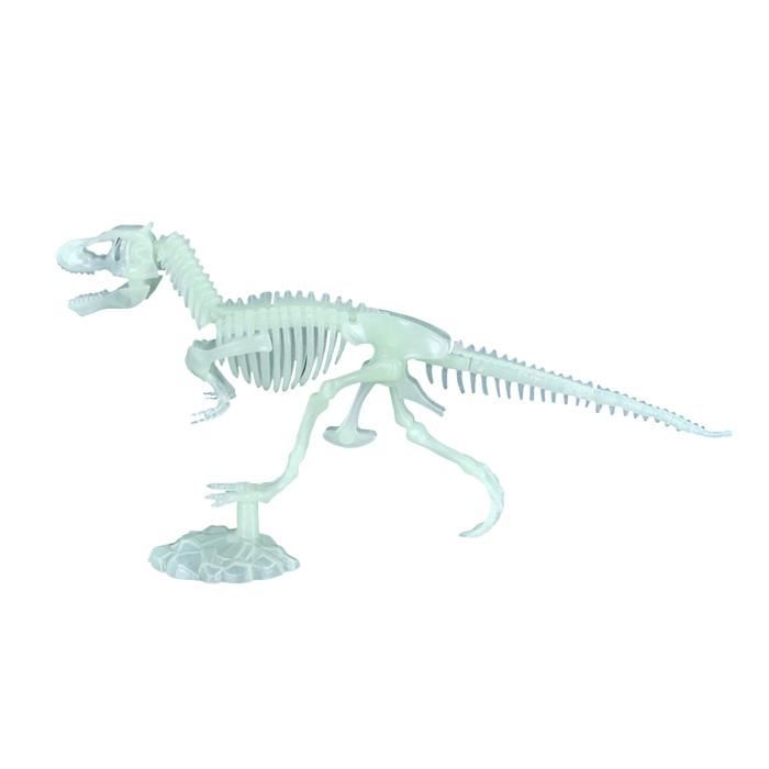 12pcs Simulation Dinosaures Squelette Squelette Modèles enfants Jeux éducatifs enfants