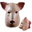 Drôle Cochon De Tete Latex Masque Horreur Halloween