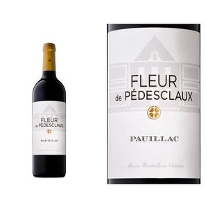 VIN ROUGE Fleur De Pedesclaux 2016 Pauillac - Vin Rouge de B