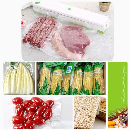 Machine Appareil de Mise sous Vide Scellant Automatique Sec Humide 100W VERT - Emballage et 10 Sacs Plastique à Nourriture Fruit