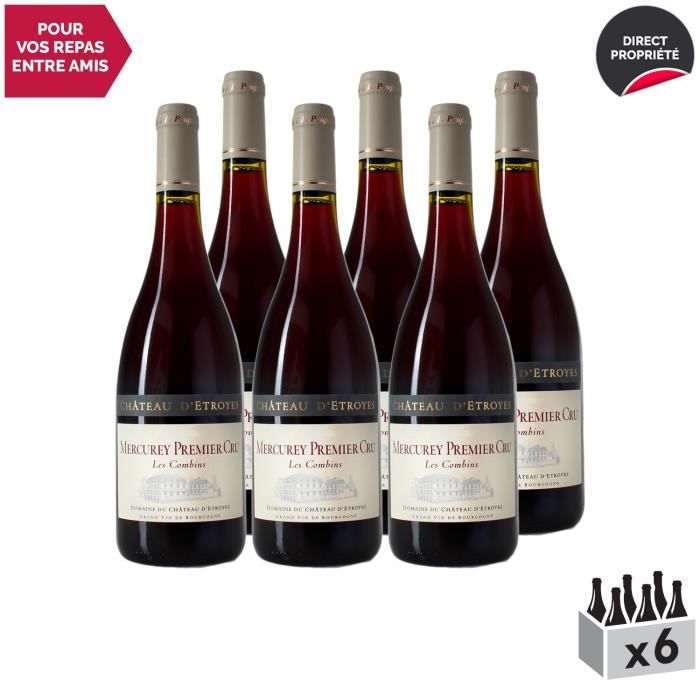 Mercurey premier cru Les Combins Rouge 2017 - Lot de 6x75cl - Château d'Etroyes - Vin AOC Rouge de Bourgogne - Cépage Pinot Noir