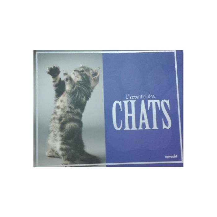 L'essentiel des chats