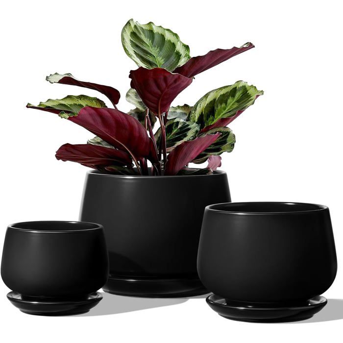 Pot de fleurs en céramique noir - lot de 3 tailles 11+13+17 cm - trous de drainage avec soucoupes - pour plantes dintérieur