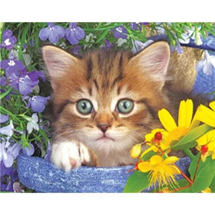 DIY Diamond Painting Complet Chat, Broderie Diamant Painting Kits Animal, Point De Croix Canevas
