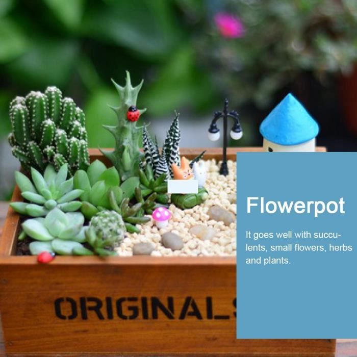 Vimin Lot De 4 Mini Arrosoirs Décoratifs - Pots Pour Succulentes Et Petites Fleurs