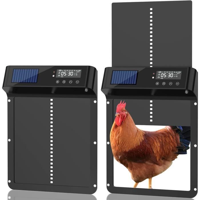 Porte Automatique Poulailler Solaire - Trappe Avec LED, Télécommande | Anti-pincement