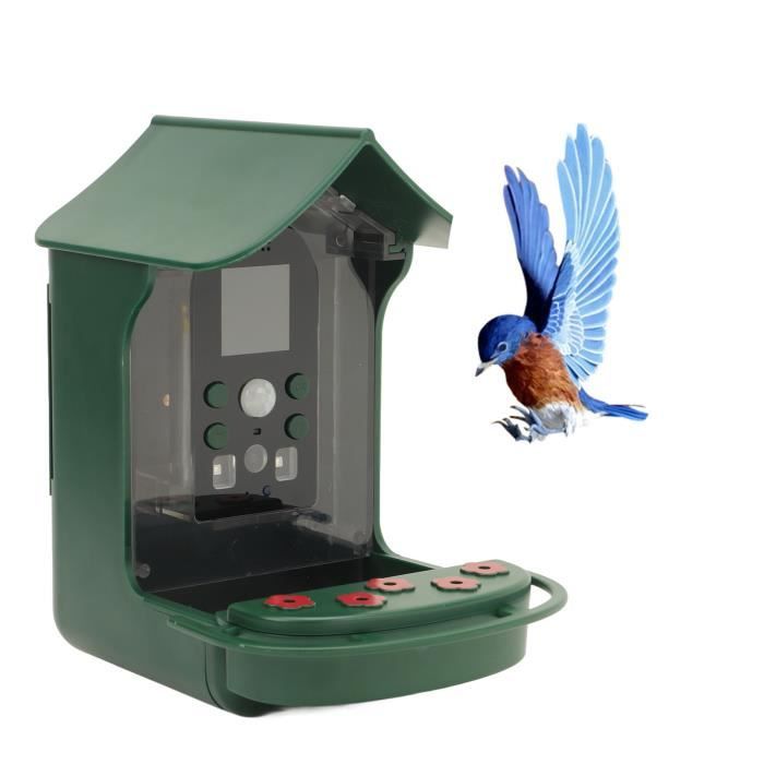 Mangeoire Intelligente Avec Caméra HD 1080p – Observation Oiseaux à Distance, Connectivité WiFi, Recharge USB