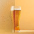 Tireuse à bière H.KOENIG BW1778 - Compatible fûts (HEINEKEN) 5 L - Inox-5