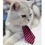 Version Magenta Stripes S Mpk Tore Chat Jouet Costume Clip Cravate Pour Chats Et Chiens Collier 97 Cdiscount Version Magenta Stripes S Mpk Tore Chat Jouet Costume Clip Cravate Pour Chats Et Chiens Collier 97 Cdiscount