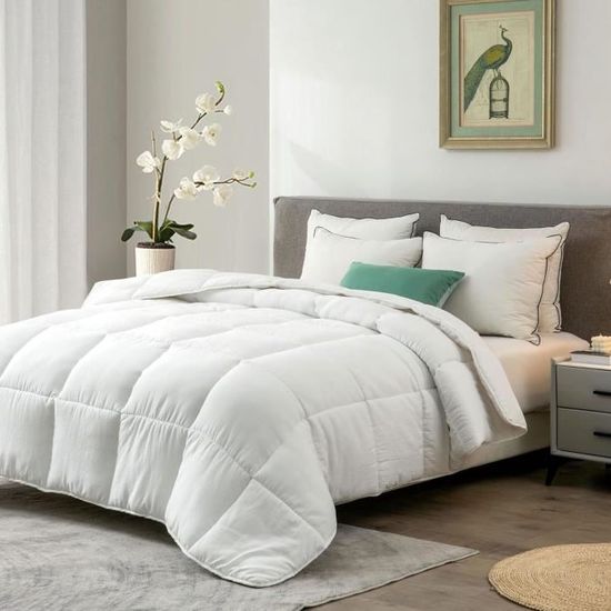 Couette 155x220 en Microfibre Biosourcées Mixtes Eucalyptus Lyocell — free download
