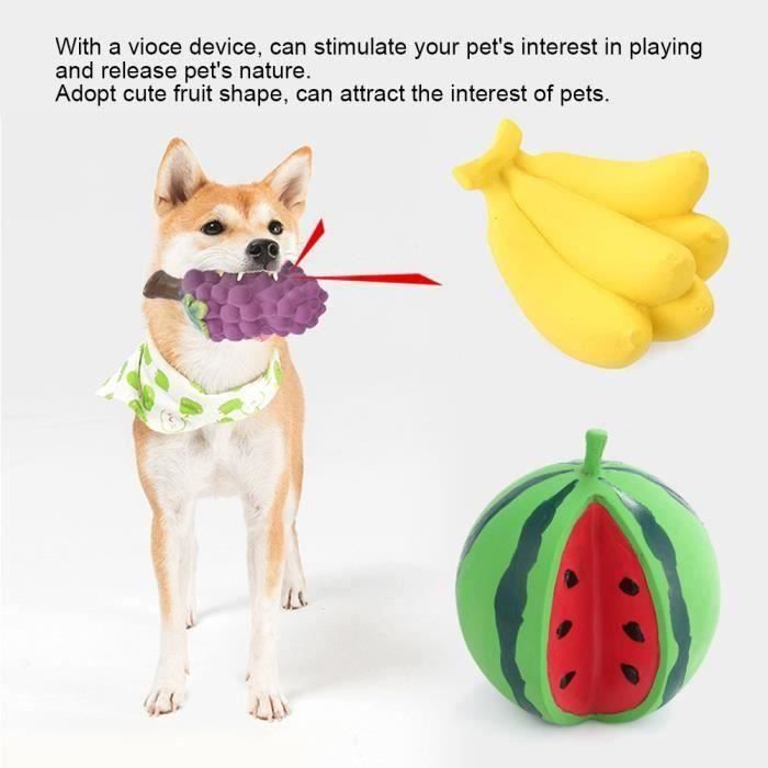 3Pcs Interactif Jouets chien, Jouet en Latex en Forme du Fruit Entraînement des Dents Molaires -TUN