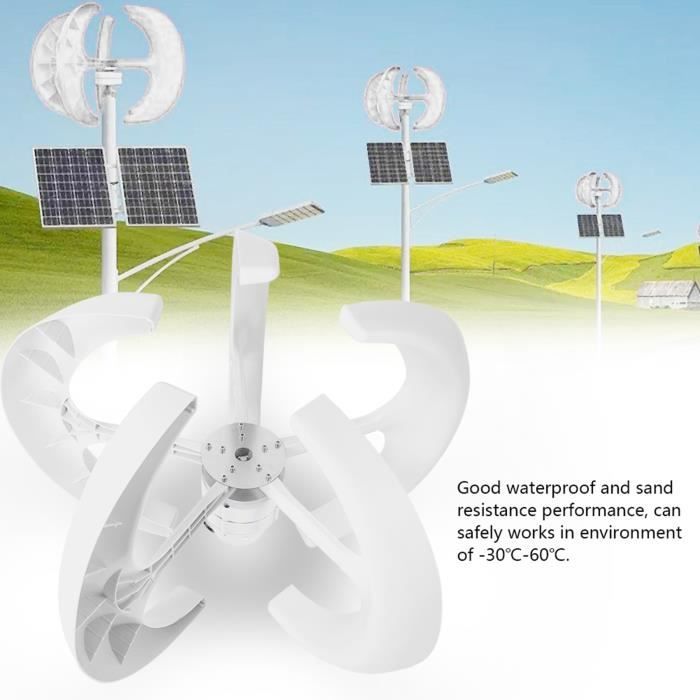Kit de générateur de vent vertical d'éolienne 600W DC12V équipement de producteur d'électricité blanc