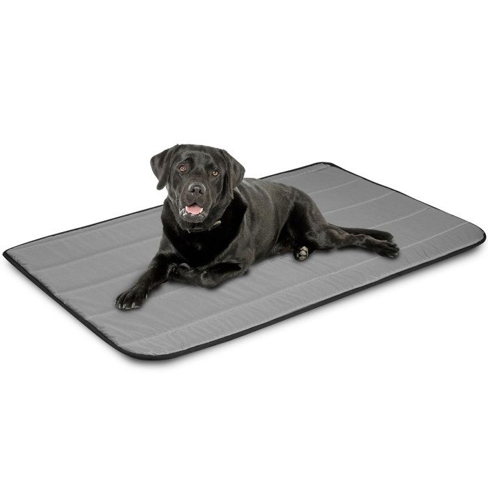 Comparer les prix de Lit Pour Chien EDANTI Matelas S Antiallergique Impermeable 50x70 Gris
