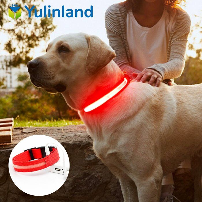 Comparer les prix de Collier Chien LED Rechargeable avec 3 Modes déclairage Etanche pour promenade nocturne de animal Rouge M