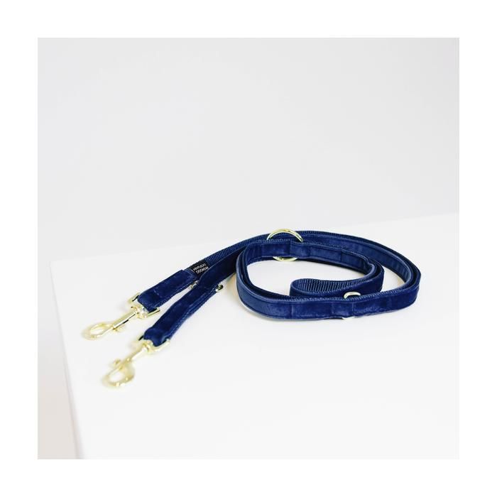 Laisse pour chien Velvet 2m - Kentucky