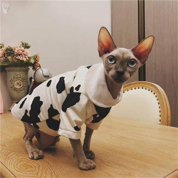 Zhihan Sphinx Cute Pull Noir Et Blanc Chat Sans Poils Automne Et Hiver Vetements Anti Off Epaississement Noir Et Blanc Cdiscount Animalerie