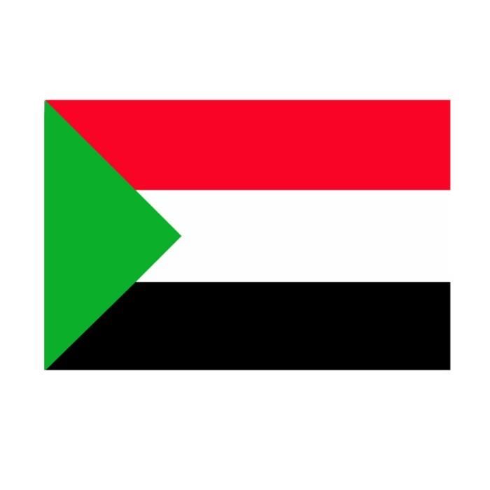 3x5 pieds Palestine Flag National Drapeau Vivid Couleur et UV Résistant Polyester Polyester Drapeau d'impression numériq,Coloré