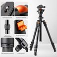 K&F Concept Trépied Caméra 163cm, Trépied Appareil Photo Voyage Professionel Léger pour Reflex Numérique Canon Nikon Sony DSLR-2