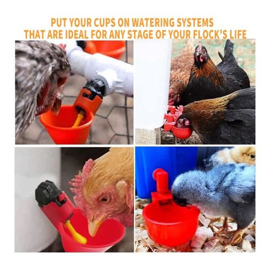 Système D'abreuvoir Automatique Pour Poules - Kit Complet PVC Avec 10 Abreuvoirs, Robinet Flotteur, Tuyaux - Pour Poulailler (seau Non Inclus)