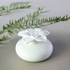 ZEN AROME ZEN'AROME - Diffuseur par Capillartié Narcisse Blanc - Décoratif et Coloré - Diffusion Naturelle et Saine - 5 x 10 cm