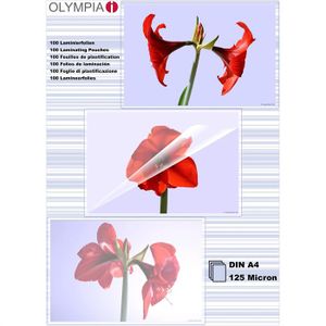 Profi a 3 olympia a 330 pastifieuse avec 25 films plastique a3 inclus 