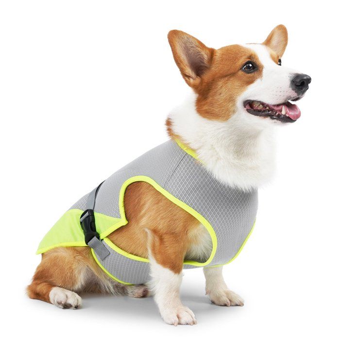 Gilet rafraîchissant pour chien, gilet rafraîchissant pour animaux de compagnie, vêtements pour chien XL