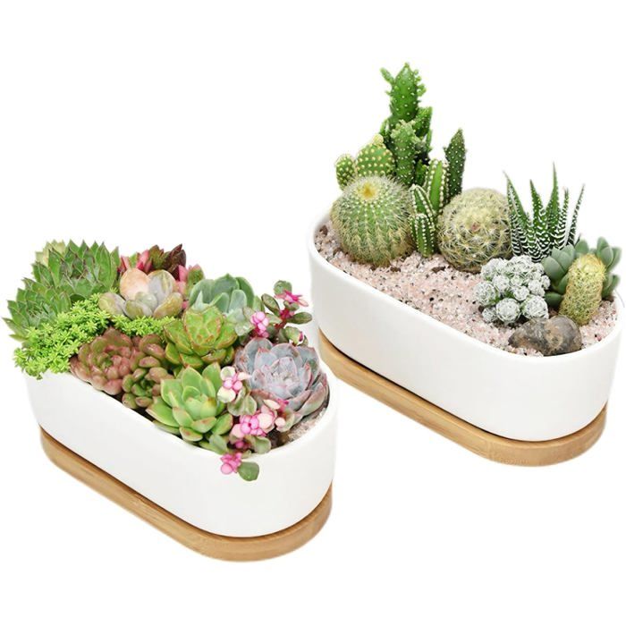 Lot de 2 pots fleurs céramique blancs ovales pour plantes grasses et cactus - avec plateau bambou intérieur bureau