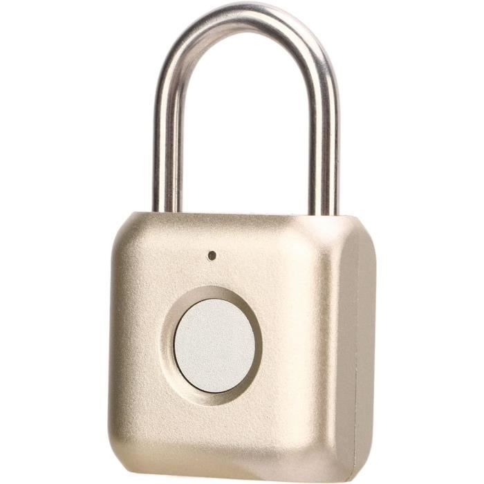 Pompe à Carburant Dans Le Réservoir Pour Yamaha FZ1000 Fazer 2006-2014 - Modèle QFS HFP-387-U