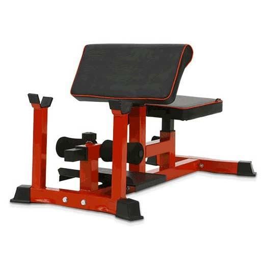Nbpower sissy squat machine on sale