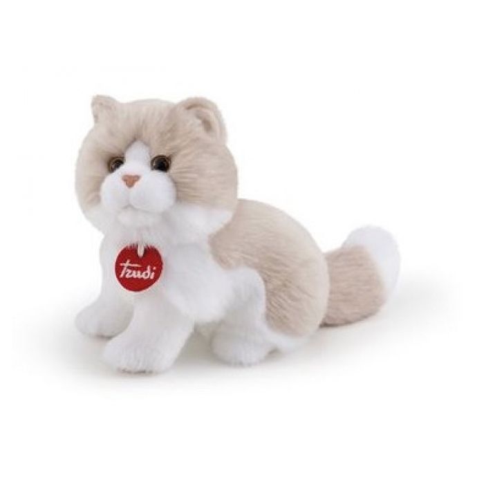 chaton en peluche