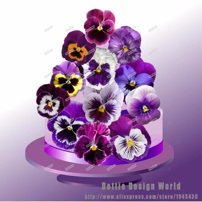Figurine Décor Gâteau,24 violet pensées fleur comestible gâteau Topper  gaufrette papier de riz décoration de gâteaux mariage bébé - Cdiscount  Maison